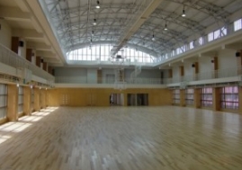 运动木地板